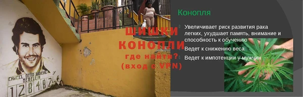 метадон Гусев