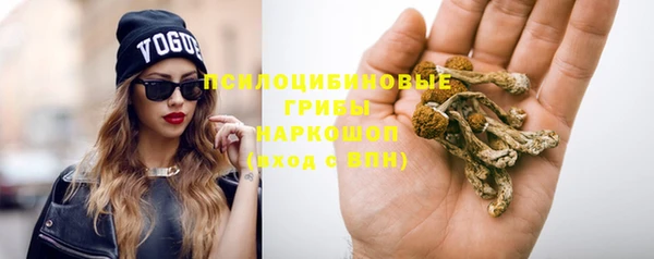 MESCALINE Гусь-Хрустальный