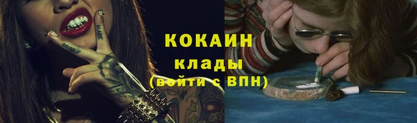 метадон Гусев