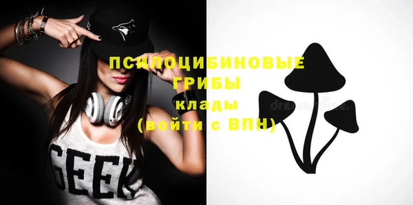 мдпв Гусиноозёрск