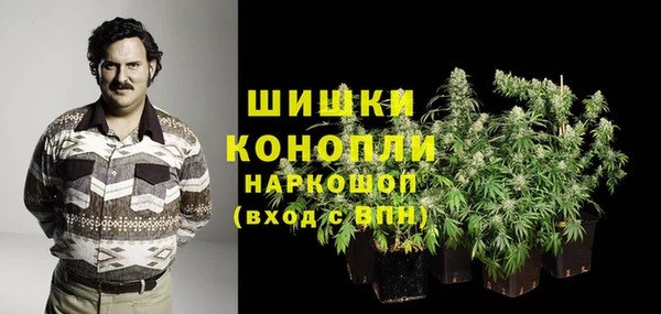 метадон Гусев