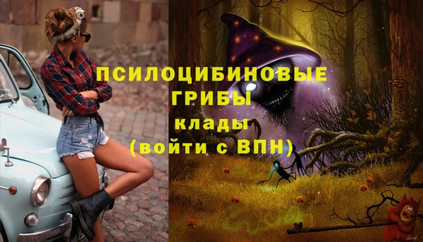 мдпв Гусиноозёрск